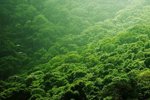 关于公子的古风丧句子 带公子的古风句子